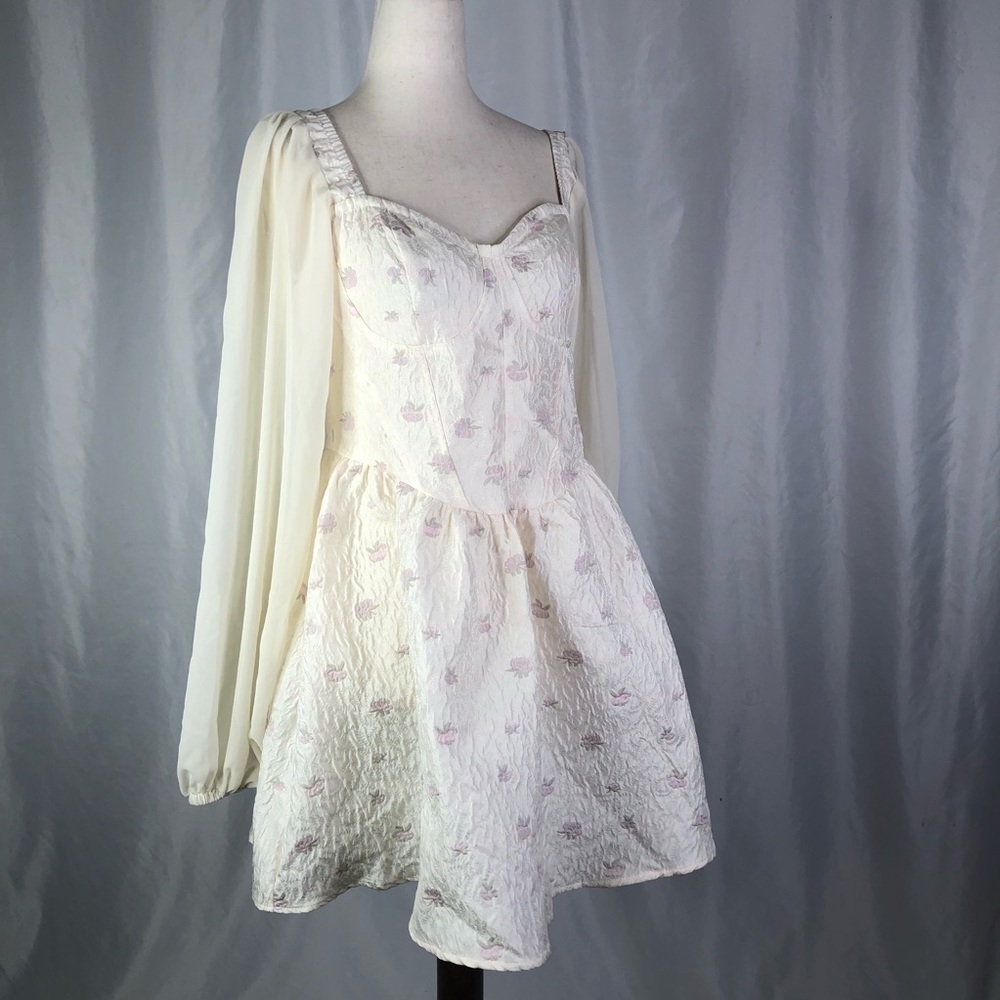 NWT Cider cottagecore meets Barbiecore mini dress long sleeves roses M